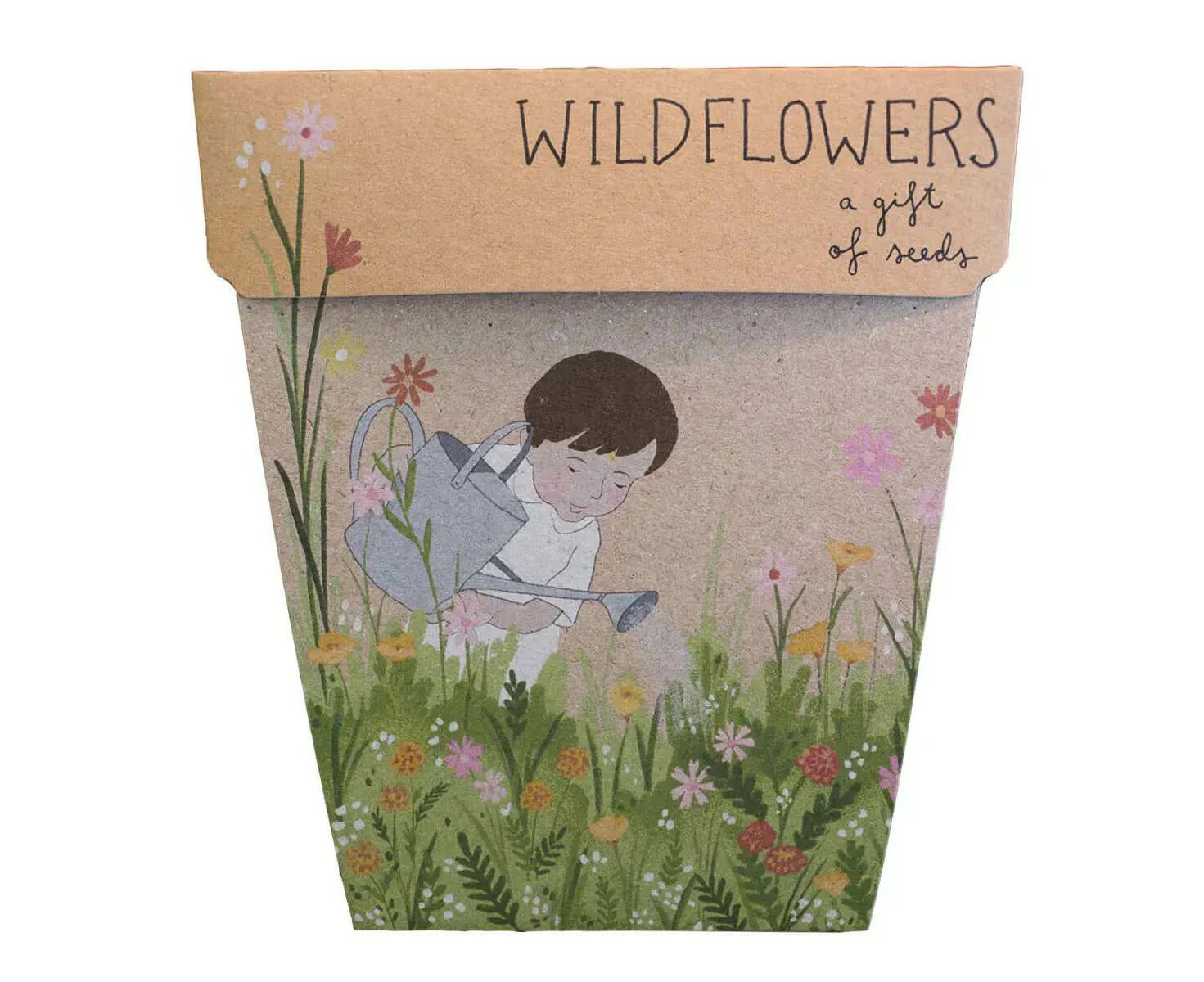 Sow 'n Sow Wildflowers Gift of Seeds - Sow 'n Sow