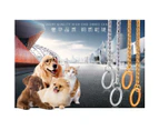 Pet Collars Pet Neck Strap Dog Neckband Snake Chain Dog Chain  Solid  Metal Chain Dog Collar