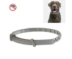 Pet Flea & Anti-Lice Collar Pet In Vitro Insect Repellent Ring