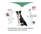 Pet Flea & Anti-Lice Collar Pet In Vitro Insect Repellent Ring