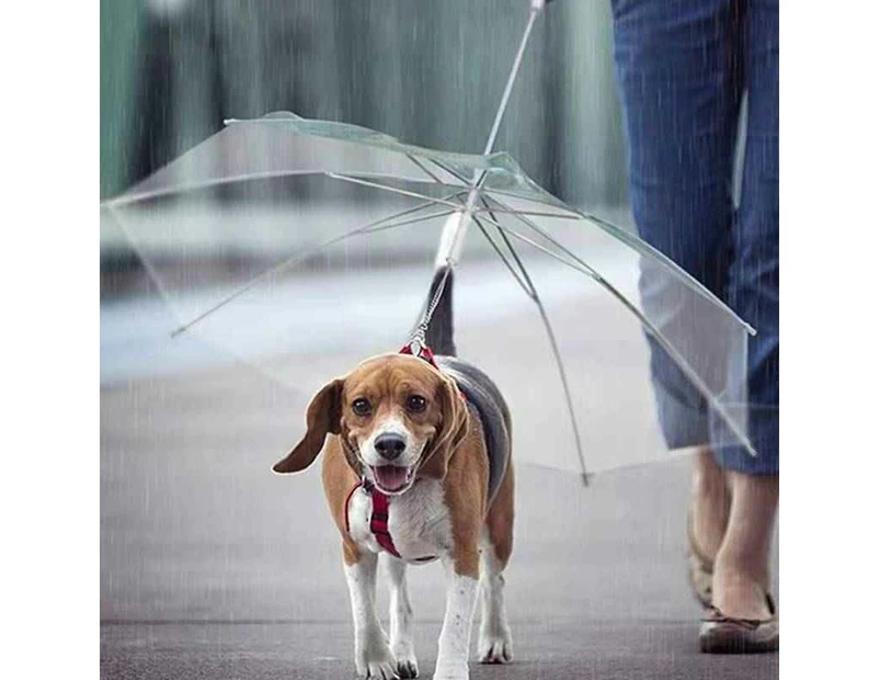 Transparent Towing Umbrella For Pets To Go Out