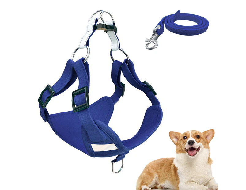 Step in Dog Harness and Leash Set - Dog Vest Harness   , Reflective No-Pull Pet Harness