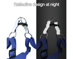 Step in Dog Harness and Leash Set - Dog Vest Harness   , Reflective No-Pull Pet Harness