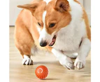 Pet Automatic Rolling Ball Toy Jumping Bouncing Ball Pet Dog Toy Orange