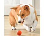 Pet Automatic Rolling Ball Toy Jumping Bouncing Ball Pet Dog Toy Orange