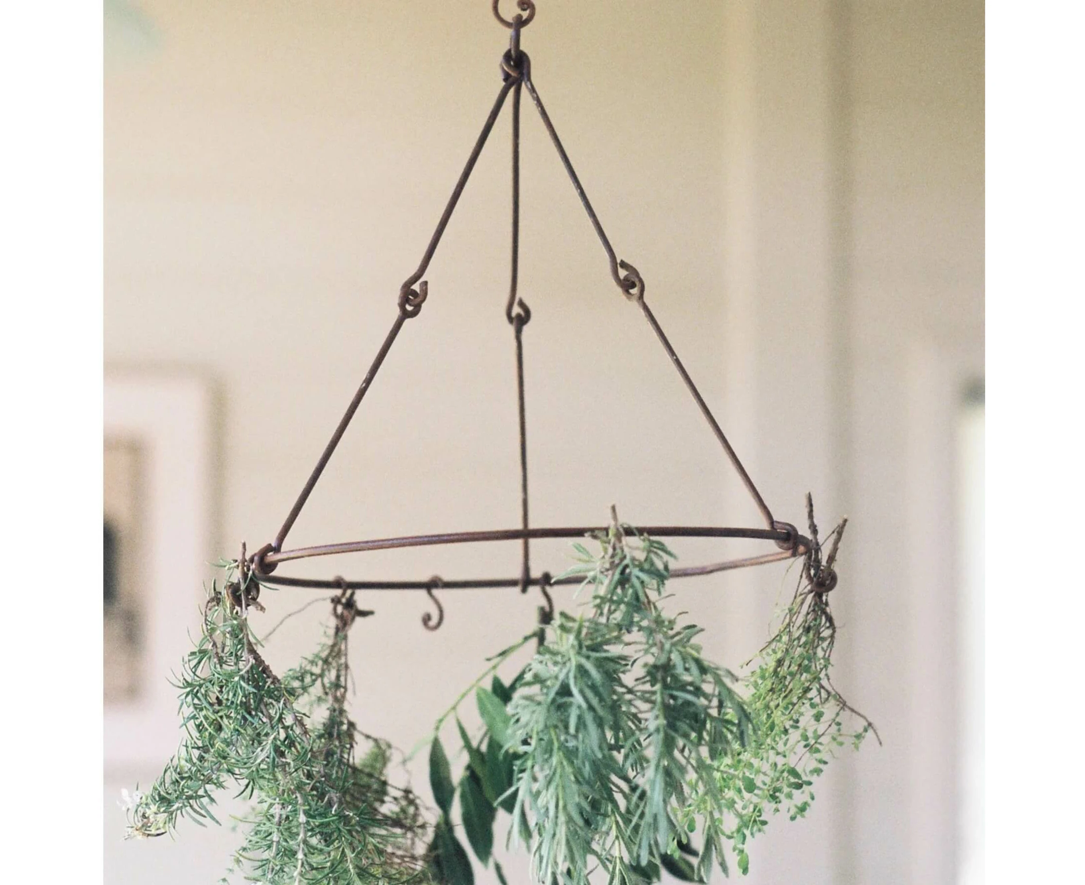 Heaven In Earth Forged Metal Herb Dryer / Hanger - Heaven In Earth