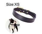 Basic Classic Padded Leather Pet Collar, Suitable For Small And Medium Sized Dogs,Black,Xs