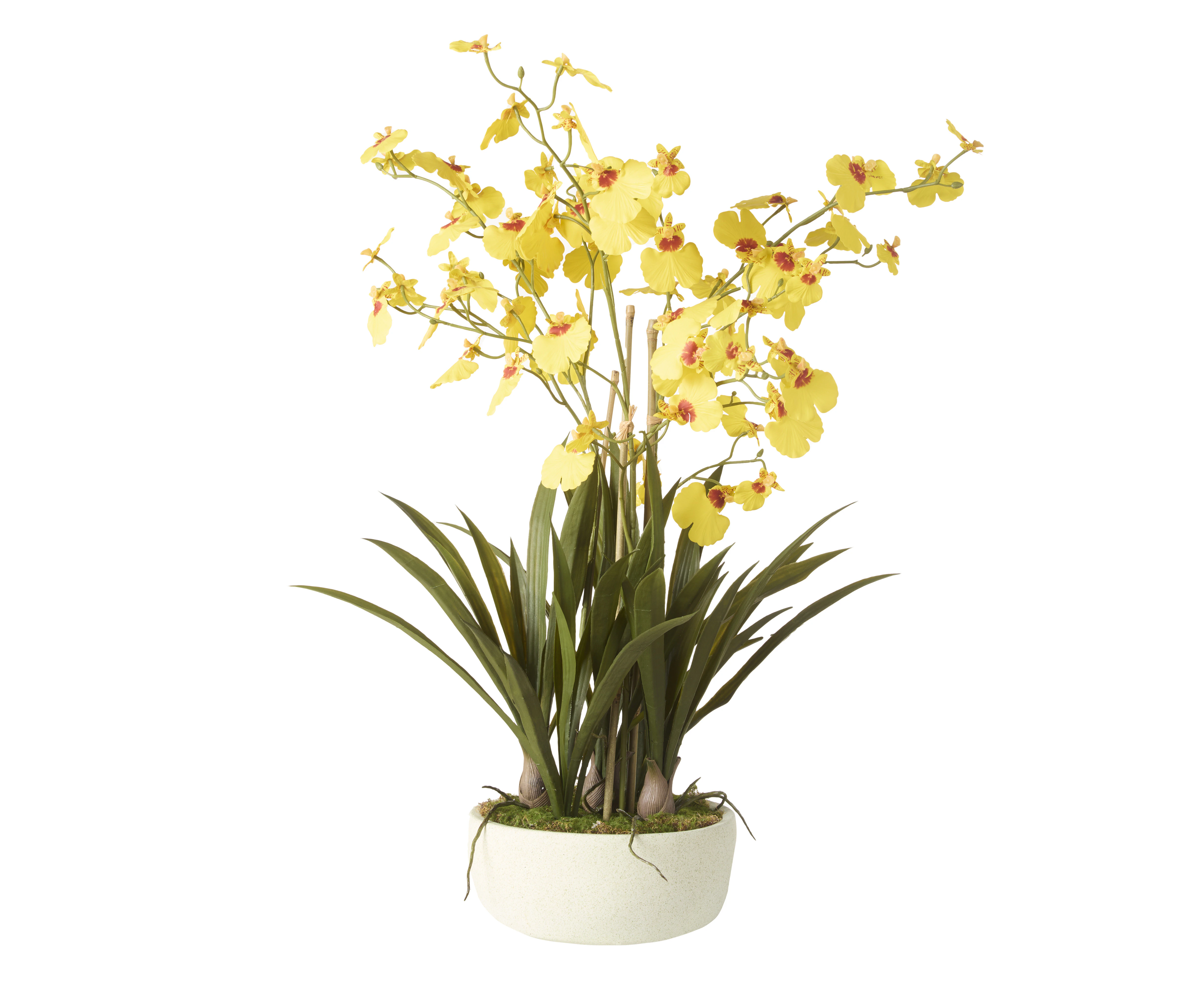 Rogue Artificial Dancing Orchid Flowers in Pot Indoor Potted Plant 52x66cm