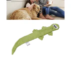 Squeaky Lizard Dog Toy Teeth Grinding Training Plush Dog Chew Toys for Pet Supplies Green