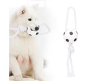 Pet Toy Molar Tooth Cleaning for Dogs Football Basketball Rugby Chew Cotton Rope (Football)