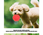 Pet Dog Soft Silicone Non-toxic Sounding Teeth Cleaning Protection Biting Ball Toy (red)