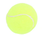 Pet Dog Toy Ball Sturdy Non Toxic Scratch Resistant Pet Interactive Tennis for DogsPet Tennis Small (7cm in Diameter, Suitable for Small Dogs)