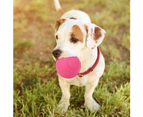 Rubber Pet Dog Safe Elastic Ball Toy for Molar Teeth Training Playing Interactivered