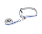 Outdoor Dog Reflective Nylon Collars with Quick Release Buckle and Matching Leashes SetDark Blue M