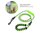 Reflective Pet Pulling Leash Safety Rope for Medium Large Dogs Running Walking TrainingGreen