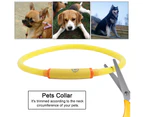 USB Rechargeable LED Pet Dog Collar Flashing Light Band Glow Safety Belt Yellow