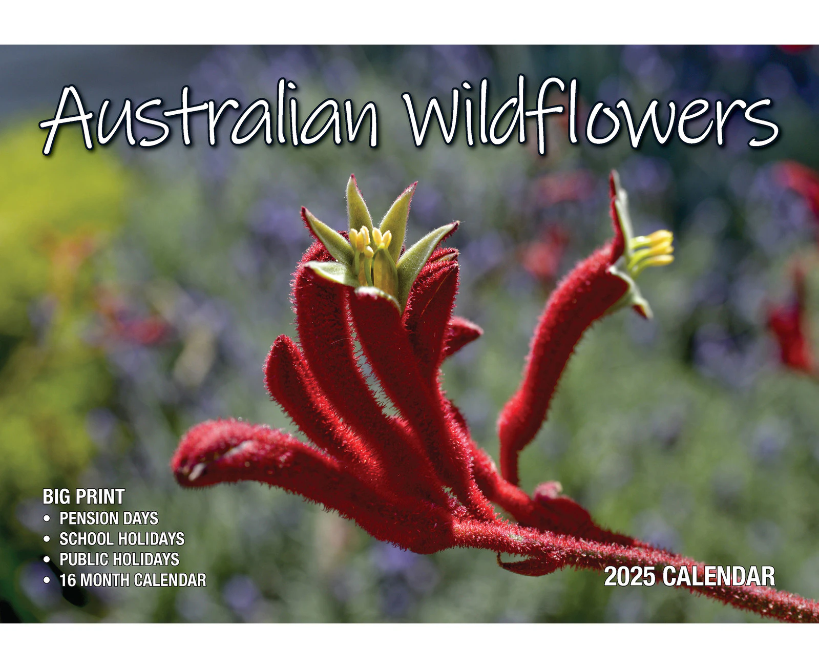 2025 Calendar Big Print Australian Wildflowers Wall Bartel BP523