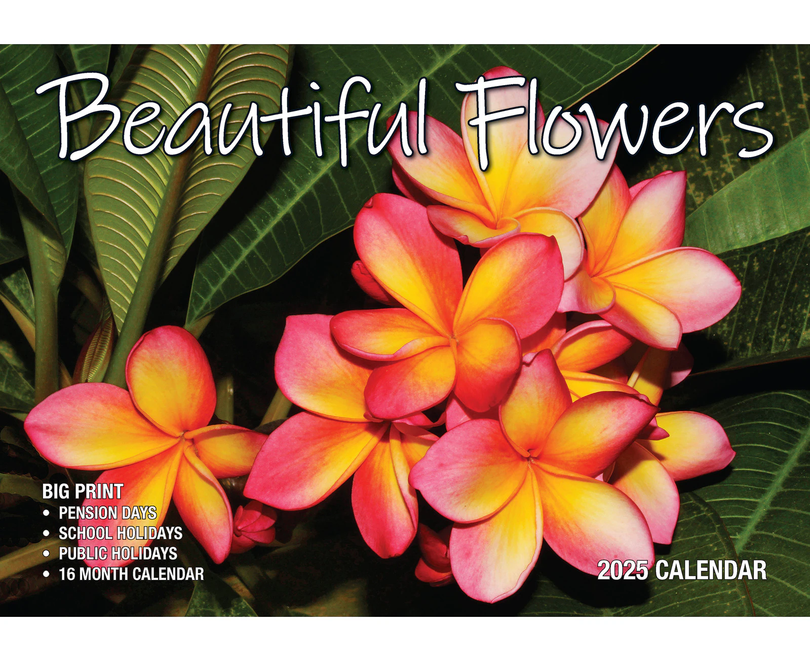 2025 Calendar Big Print Beautiful Flowers Wall Bartel BP503