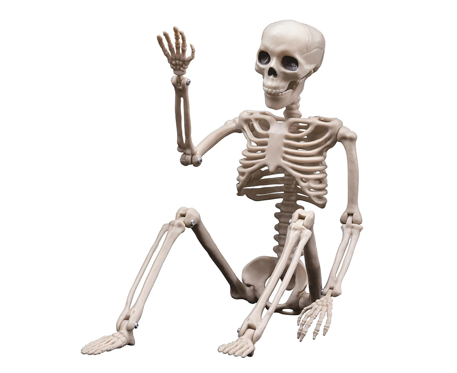 Halloween Skeletons Decorations, Posable Plastic Skeleton, Full Body Skeleton with Movable Joints