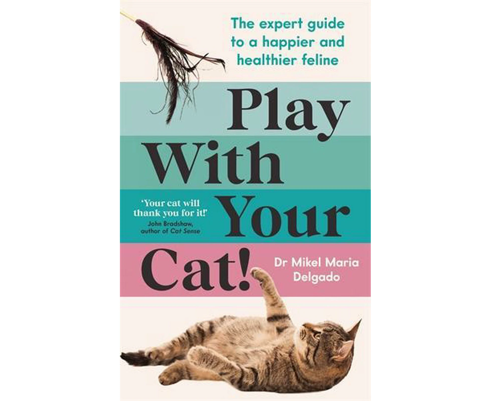 Play With Your Cat!