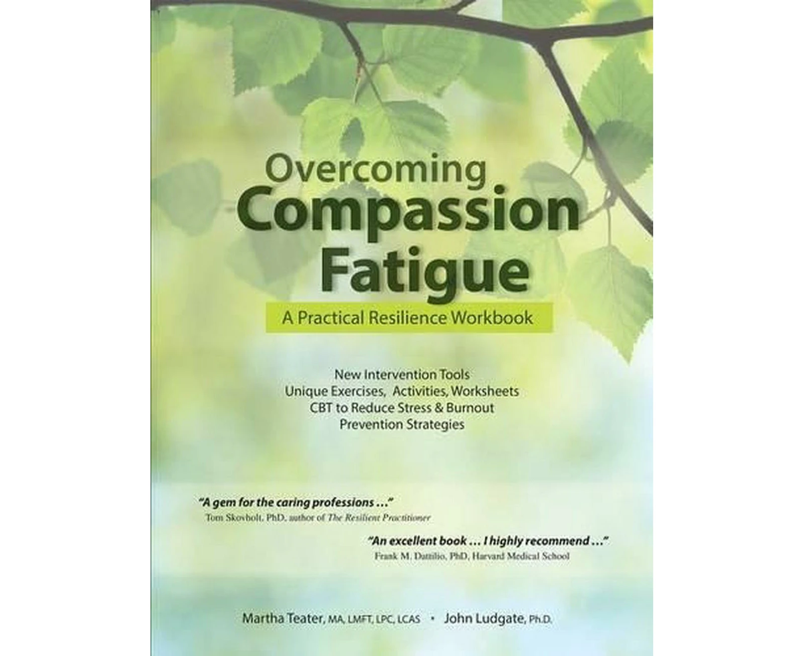 Overcoming Compassion Fatigue