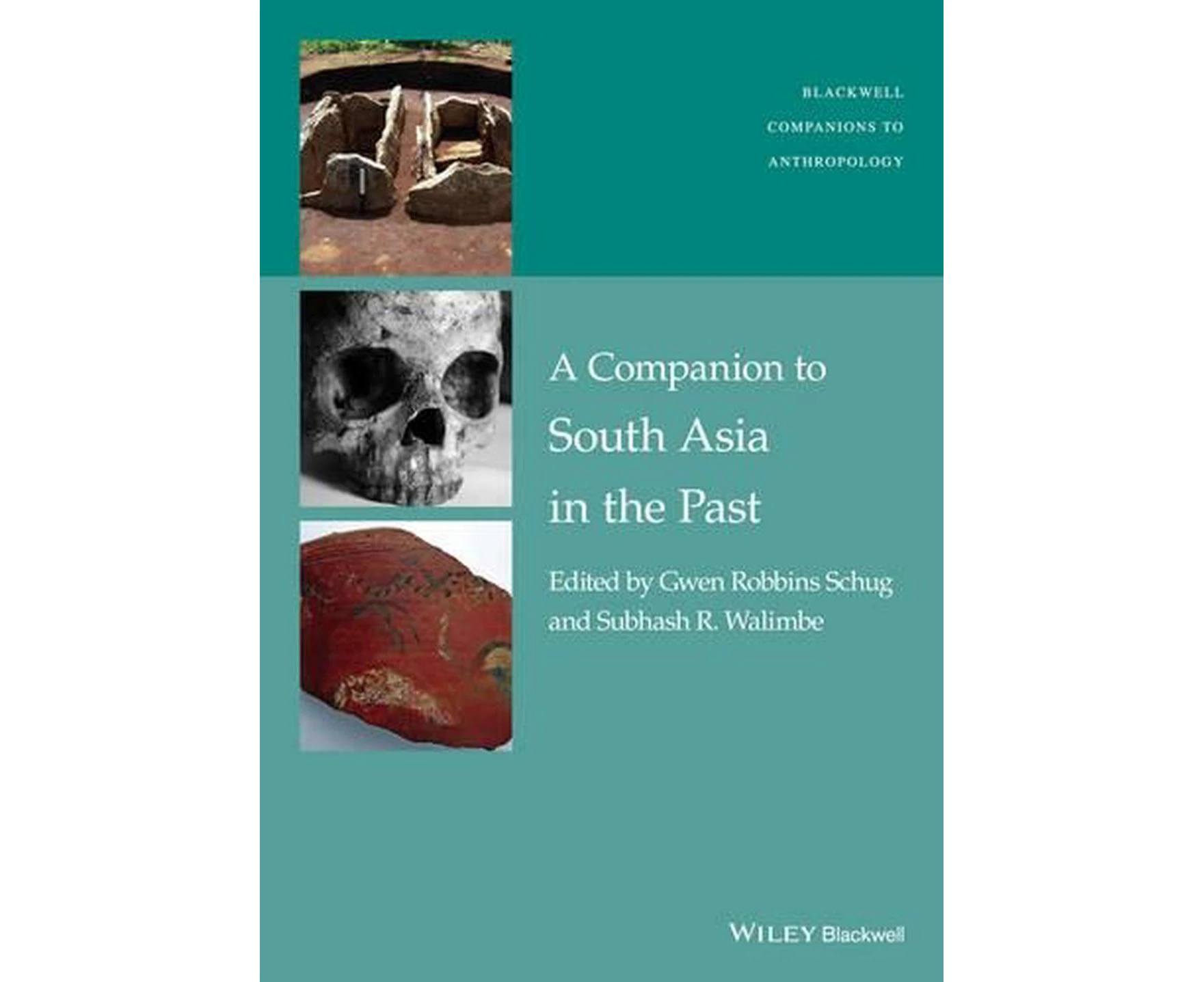 A Companion to South Asia in the Past