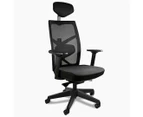 Desky Elite Ergonomic Chair with Headrest - Fully Adjustable Mesh Office Chair