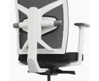 Desky Elite Ergonomic Chair with Headrest - Fully Adjustable Mesh Office Chair