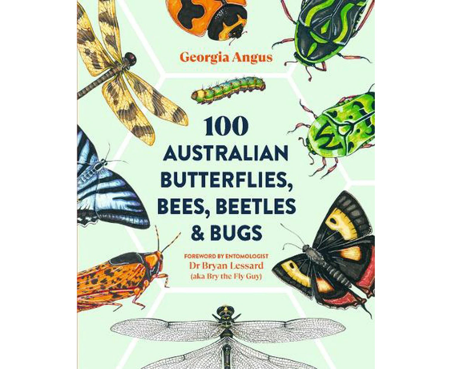 100 Australian Butterflies, Bees, Beetles & Bugs