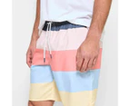 Target Multi Stripe Boardshorts