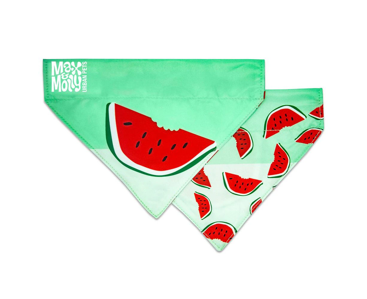 Max & Molly Bandana for Cats & Dogs - Watermelon