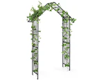 Costway Pointed Garden Arch Climbing Trellis w/Iron Wrought Gate Entrance Party Wedding Frame Black