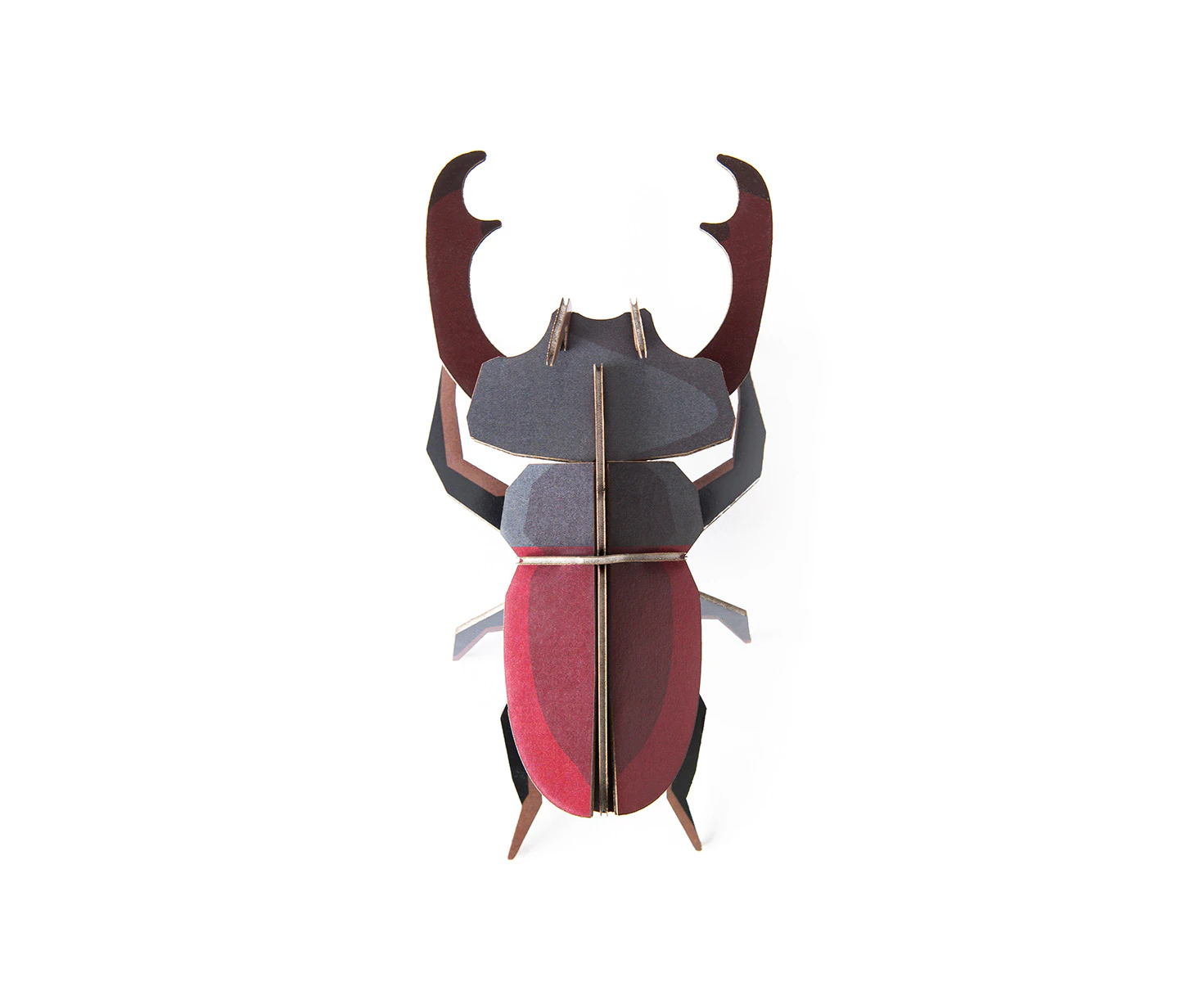 Wall Art Beetles (B7) - Stag Beetle