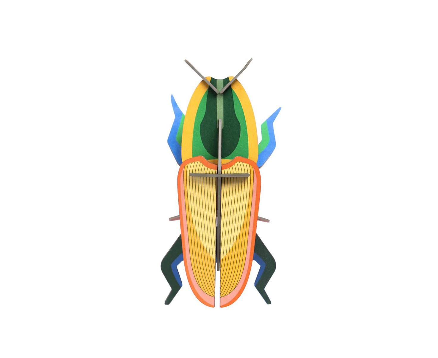 Wall Art Beetles (B7) - Madagascar Beetle