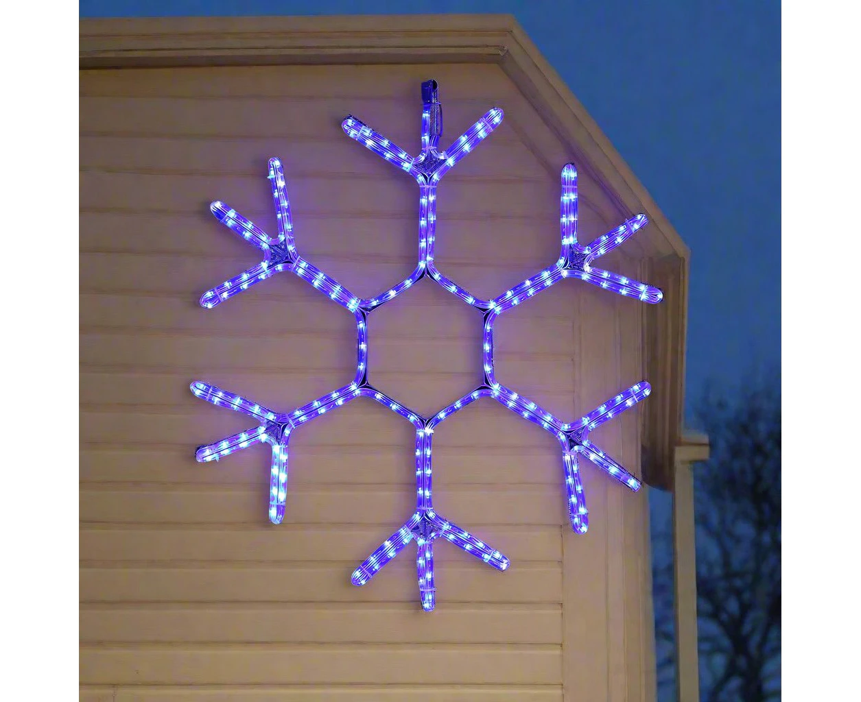 LED Ropelight Snowflake Twinkle Cool White