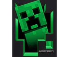 Minecraft Boys Creeper Inside T-Shirt (Black) - NS5409