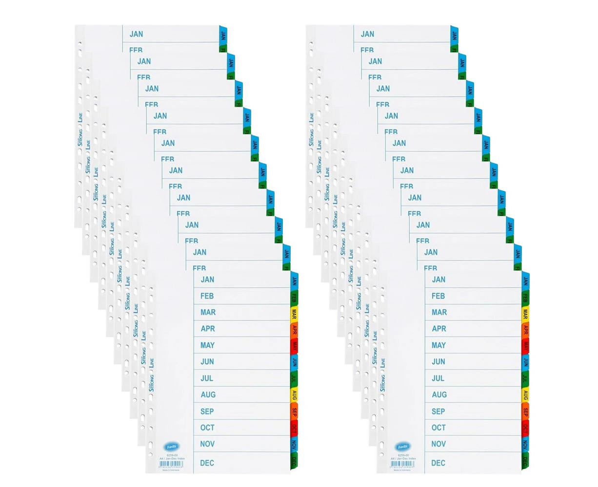 20x Bantex Indices A4 January - December Coloured Custom Tab Dividers Mylar