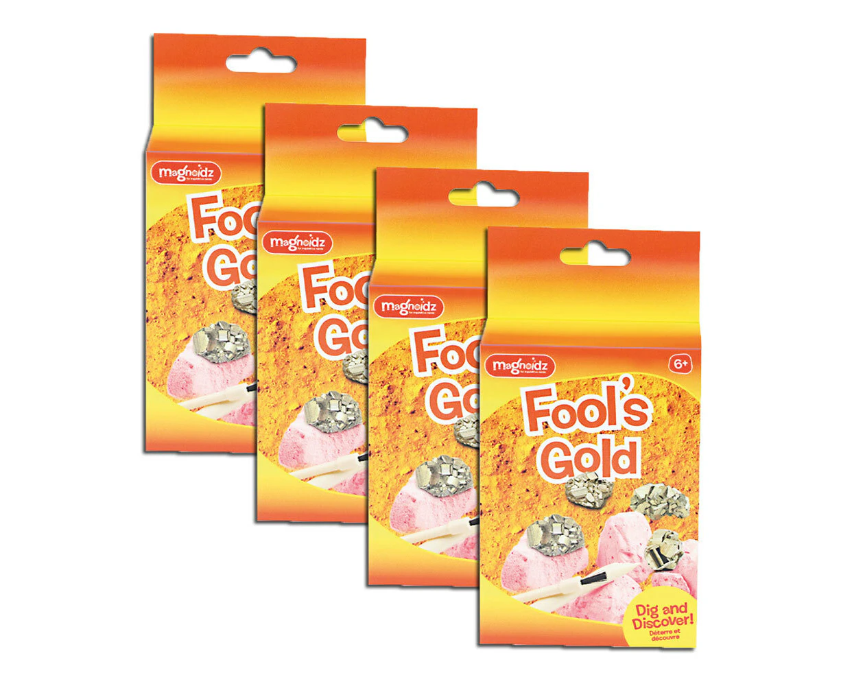 4x Magnoidz Discover 16cm Fools Gold Discovery Kit Fun Play Activity Toy Kids 6+