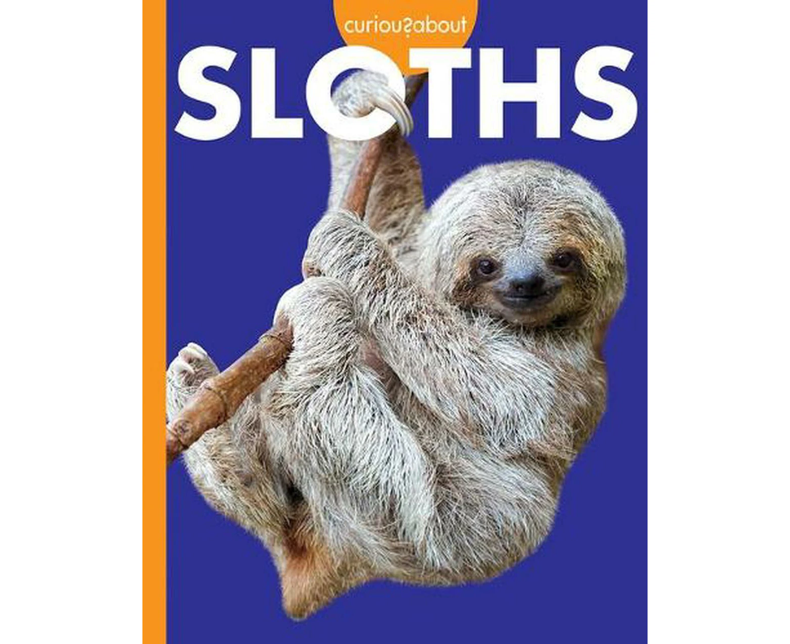 Curious about Sloths