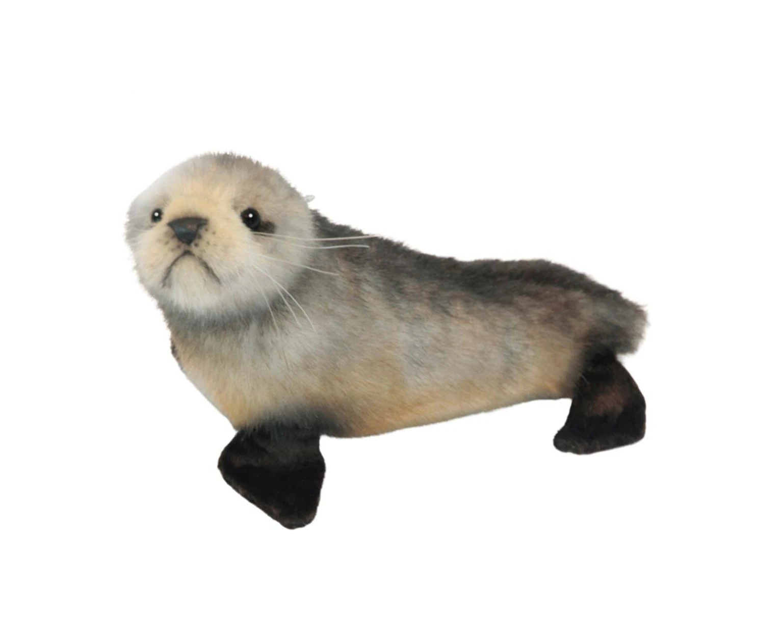 Hansa - Australian Fur Seal Pup - Realistic Animal Stuffed Plush Toy - 26cm