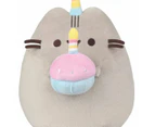 Pusheen Themed Large Plush - Assorted*