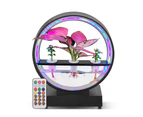 Water Feature Indoor with BT Speaker White Noise LED Ring Lights Tabletop Ornament Remote Control Full Spectrum Hydroponics Waterscape Decorative Lights fo