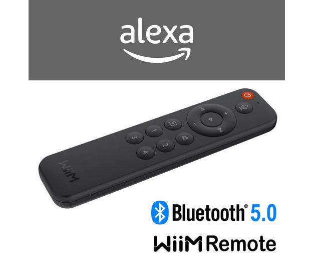 WIIM VOICE REMOTE