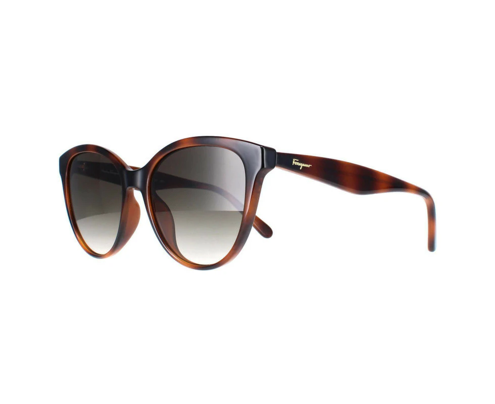 Salvatore Ferragamo SF1073S 240 Tortoise/Grey Gradient/Grey Gradient Butterfly Frame Sunglasses