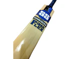 SS Fibre Flex Cricket Bat