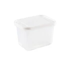 Drain Storage Box with Sealed Lid Refrigerator Food Storage Container for Scallion Ginger Garlic,White