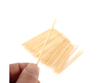 2000Pcs Bamboo Natural Toothpicks Appetizer Sticks Wooden Tooth Pick Disposable New