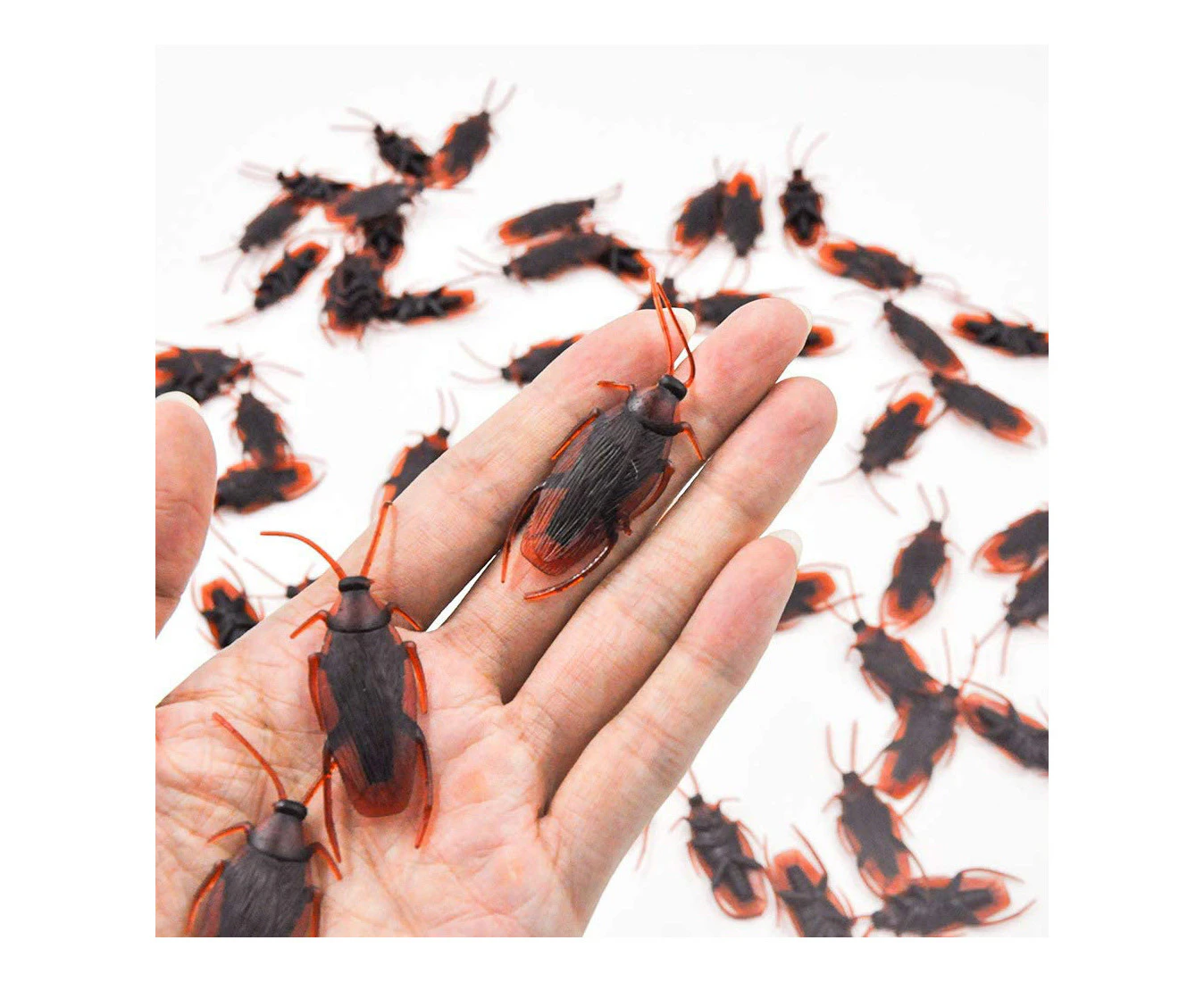 Cockroaches 4x2cm 10 Pack