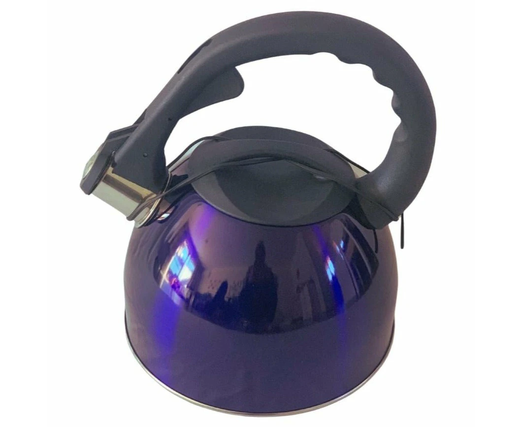 2.6L Stainless Steel Whistling Kettle