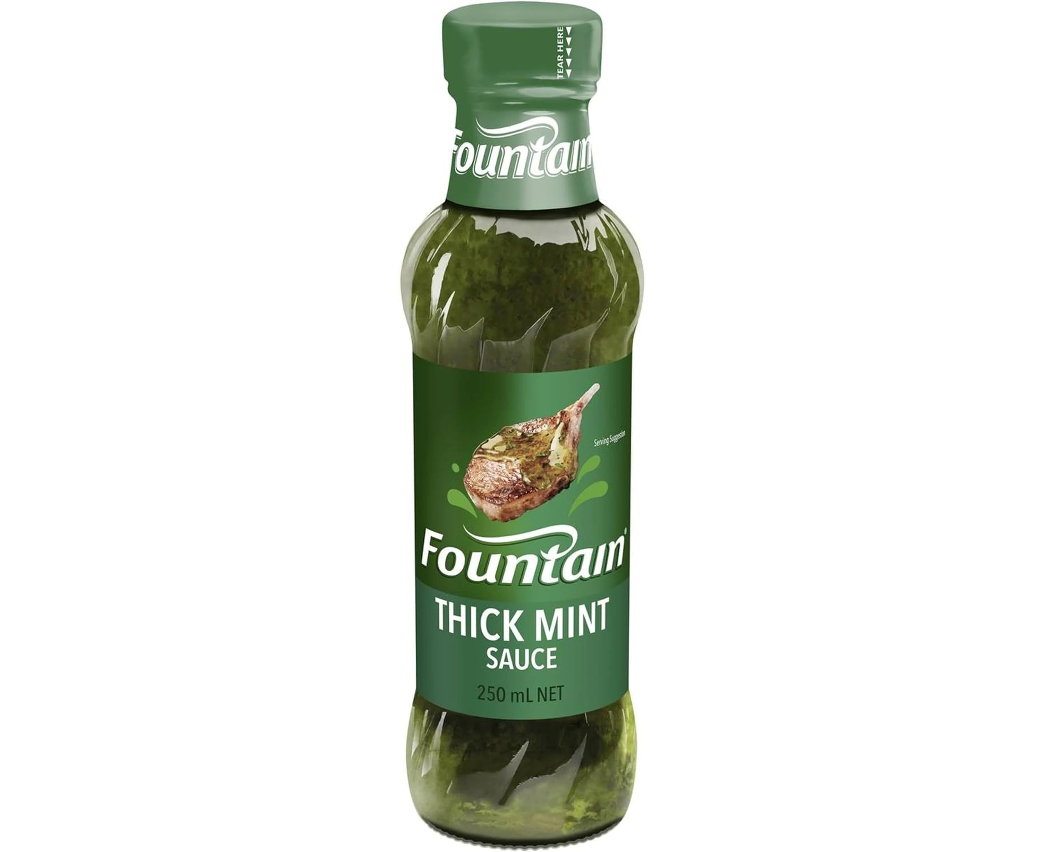 Fountain Thick Mint Sauce Dipping and Marinade Fountain Sauces 250 ml